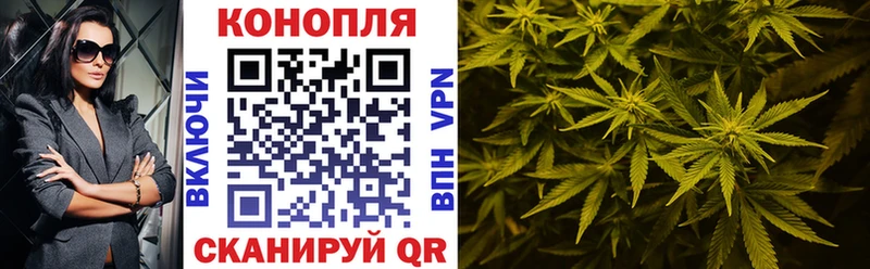 МЕГА сайт Сурск Шишки марихуана семена наркота